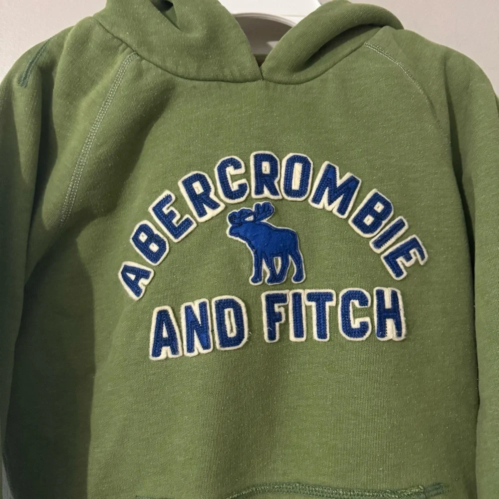 Abercrombie & Fitch Hoodie Spell Out Moose Pullover Hoodie Y2K Green Women Large - Picture 2 of 8